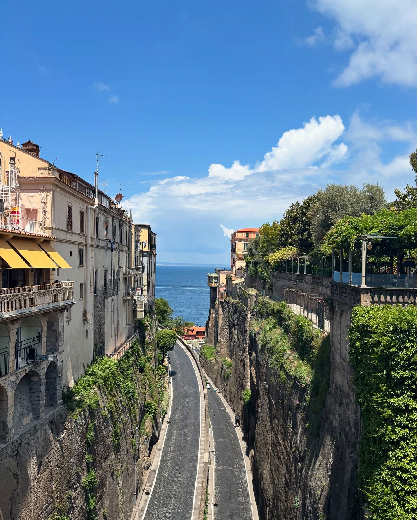 yam_adler instagram image archive image