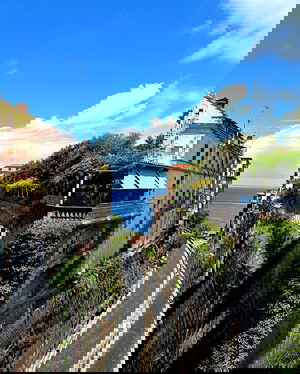 yam_adler image ~ Altpins