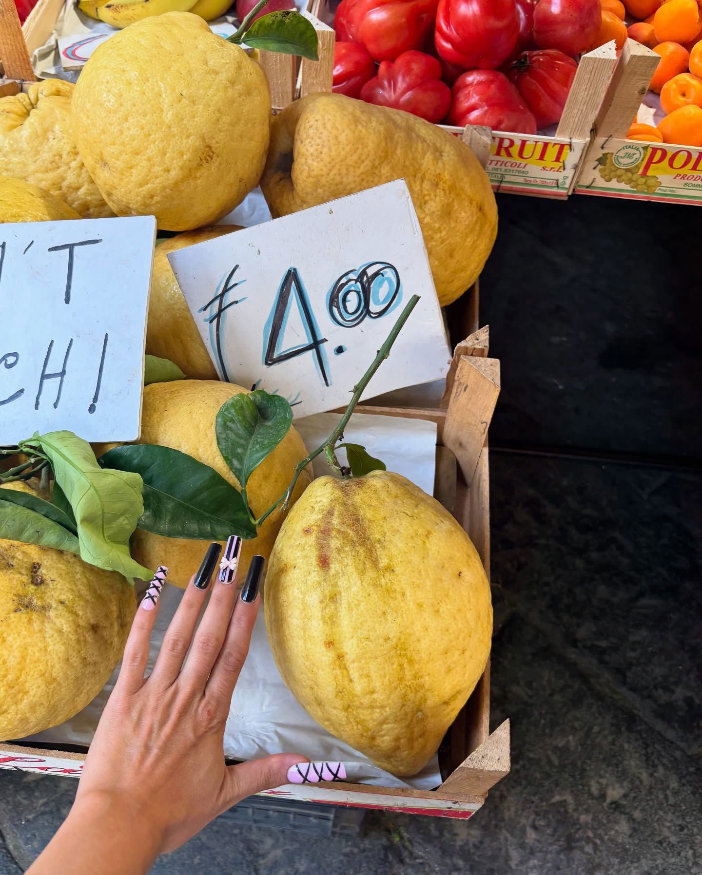 yam_adler instagram image archive image