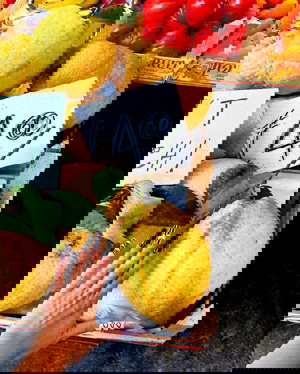 yam_adler image ~ Altpins