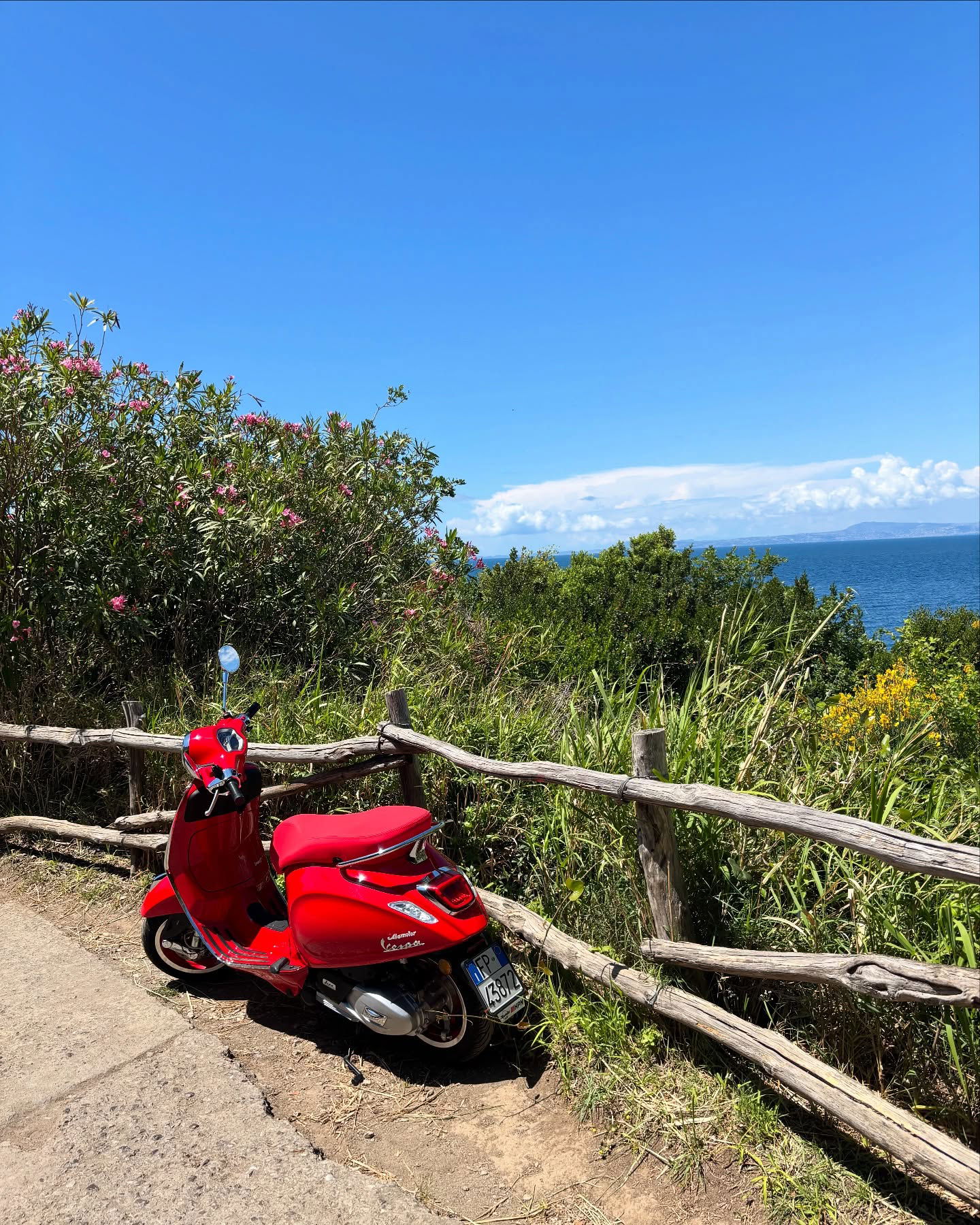 yam_adler instagram image archive image