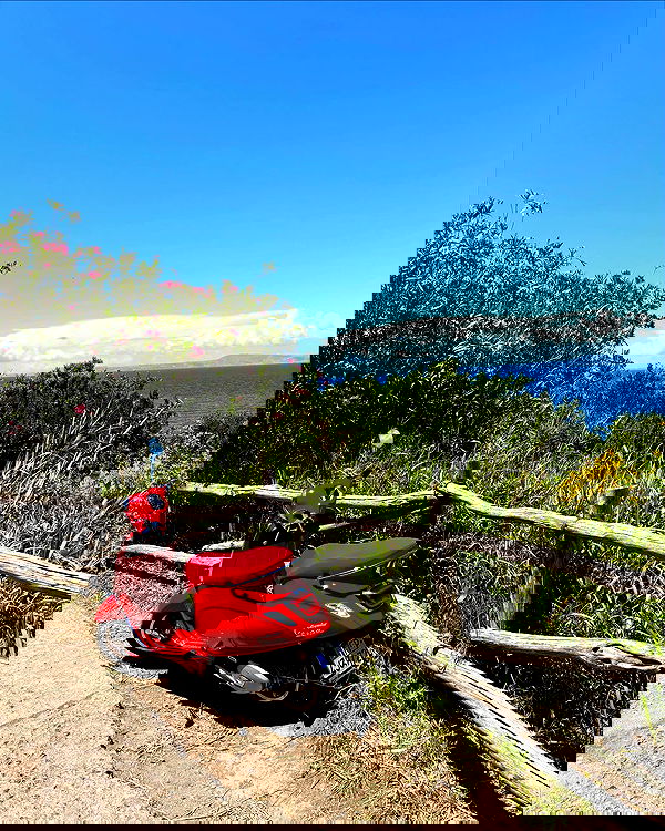 yam_adler image ~ Altpins