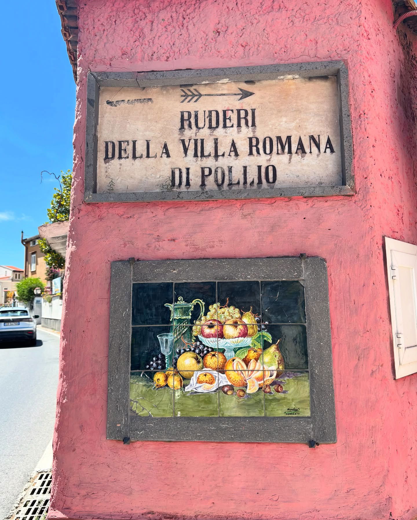 yam_adler instagram image archive image