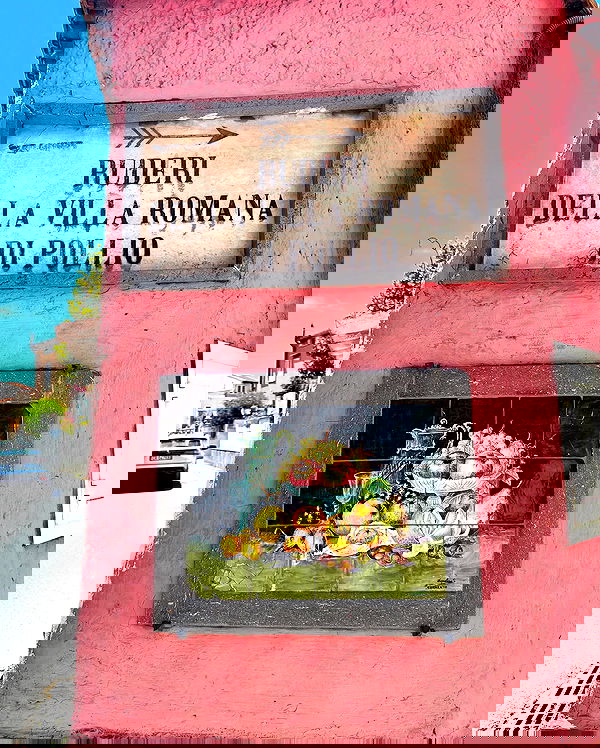 yam_adler image ~ Altpins