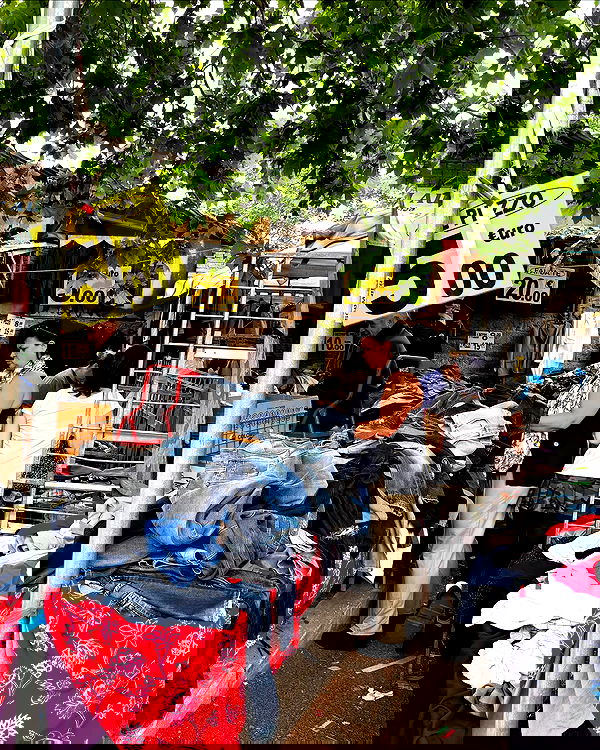 yam_adler image ~ Altpins