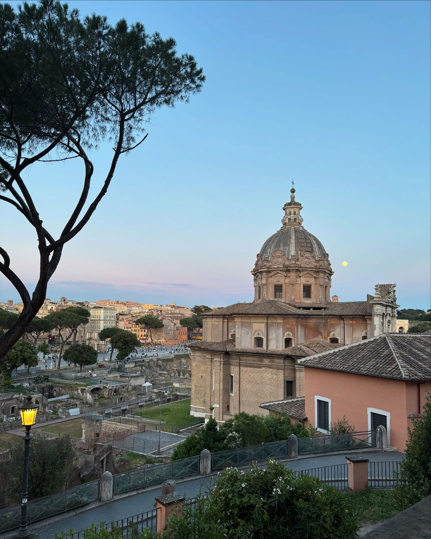 yam_adler instagram image archive image