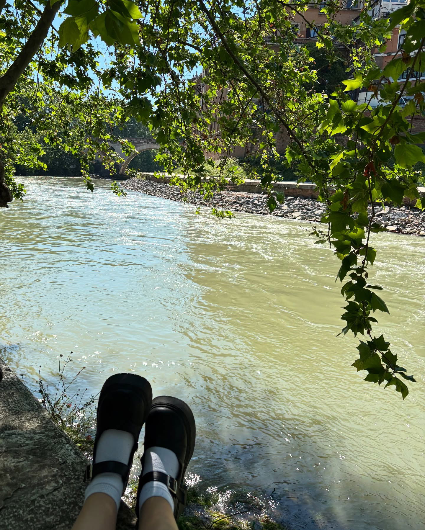 yam_adler instagram image archive image