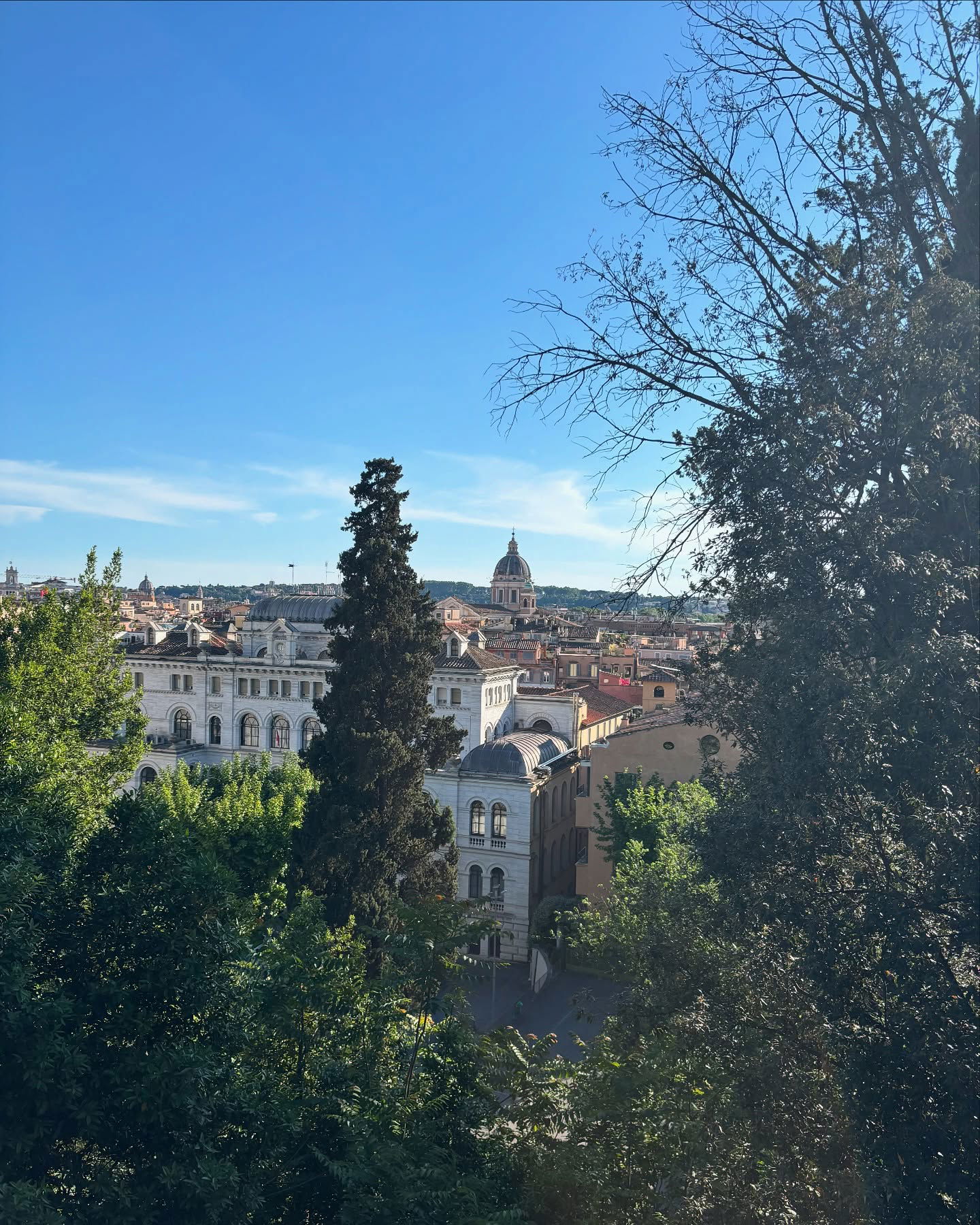 yam_adler instagram image archive image