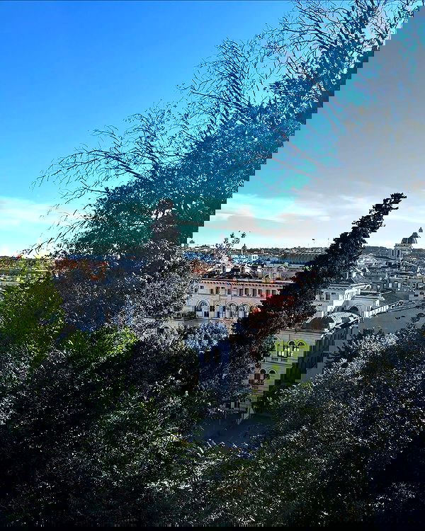 yam_adler image ~ Altpins