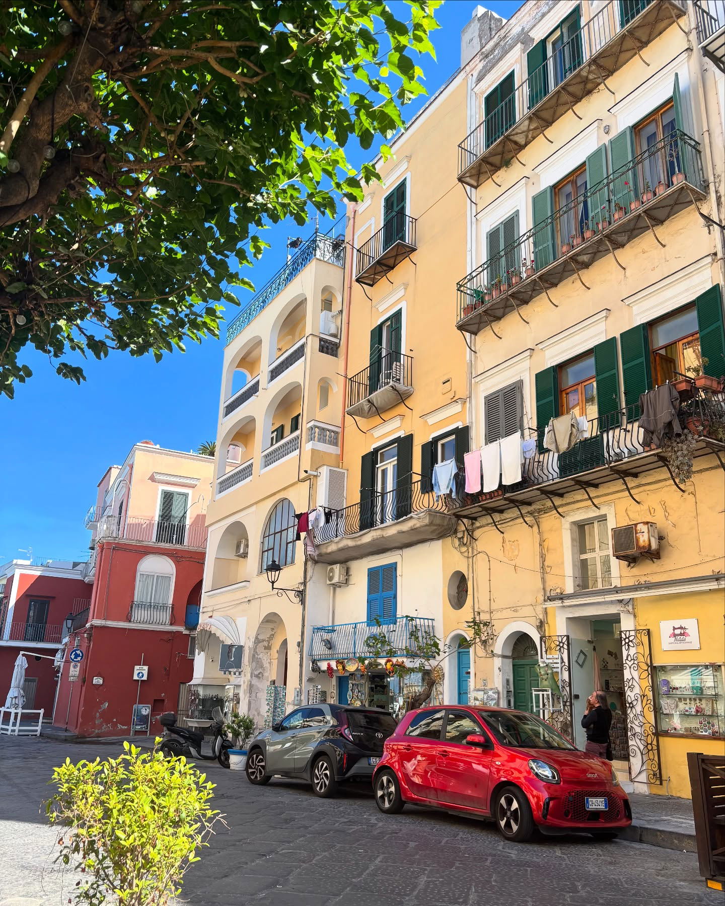 yam_adler instagram image archive image