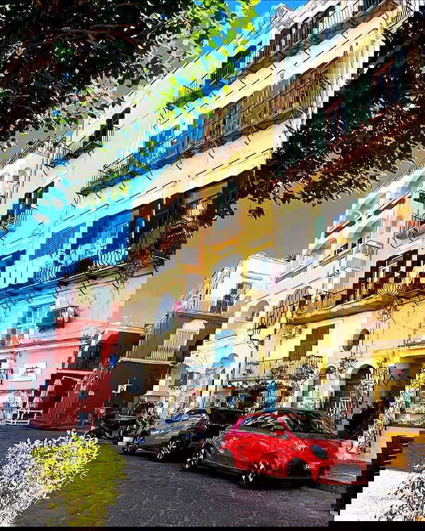 yam_adler image ~ Altpins