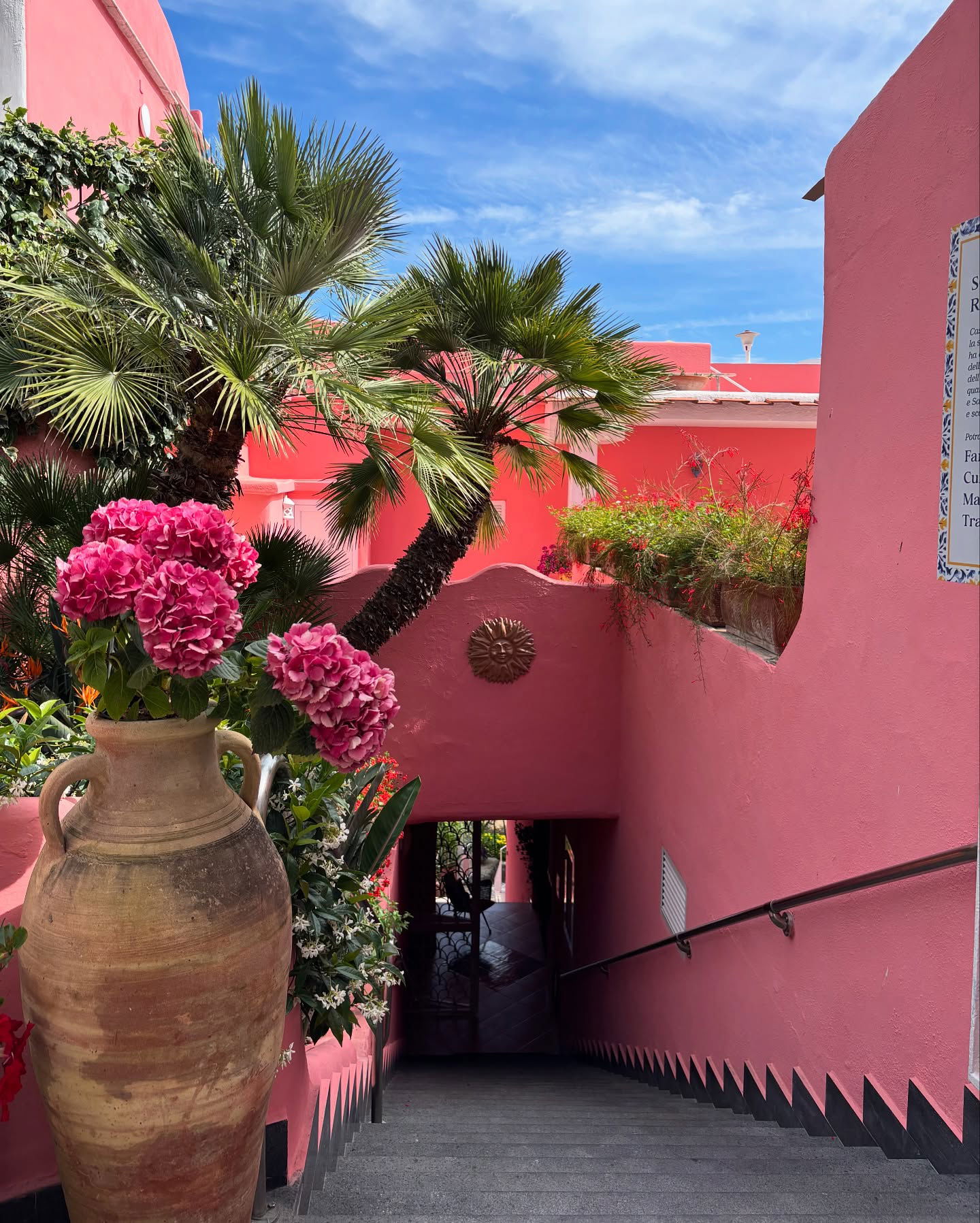 yam_adler instagram image archive image