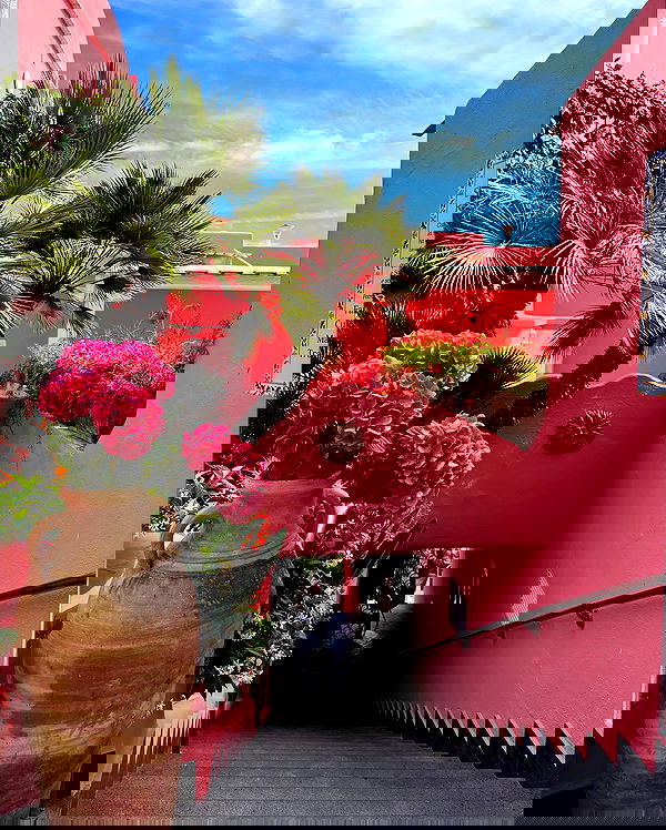 yam_adler image ~ Altpins