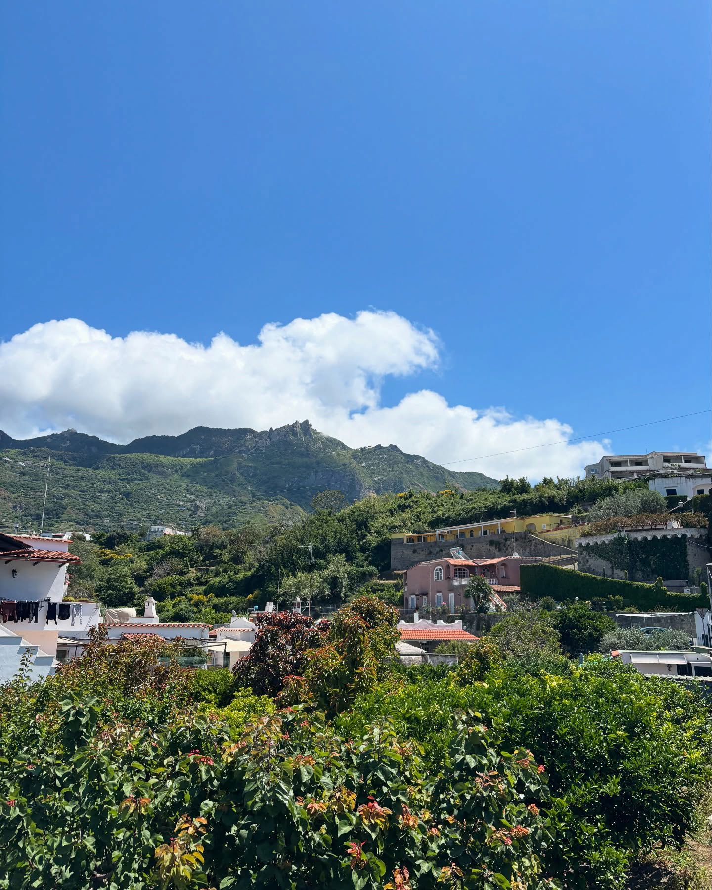 yam_adler instagram image archive image