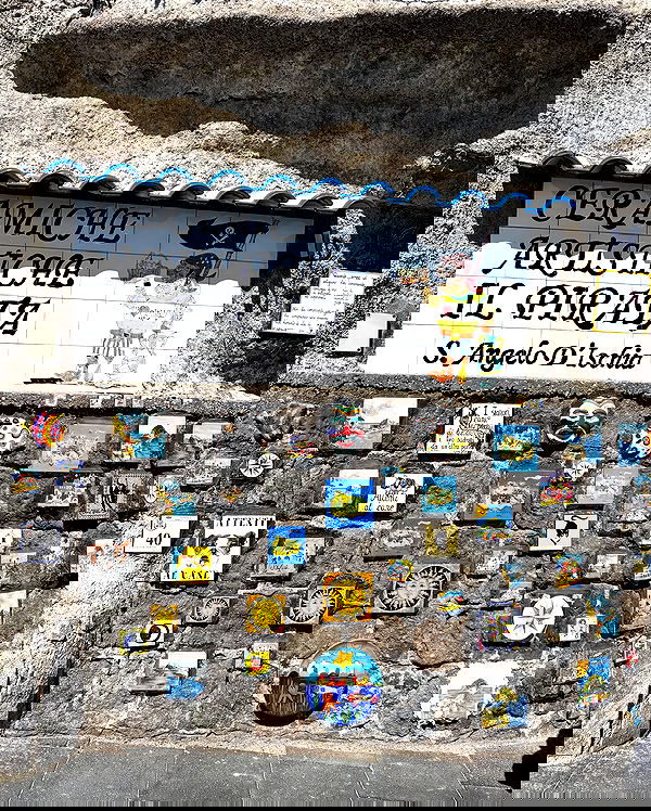 yam_adler image ~ Altpins