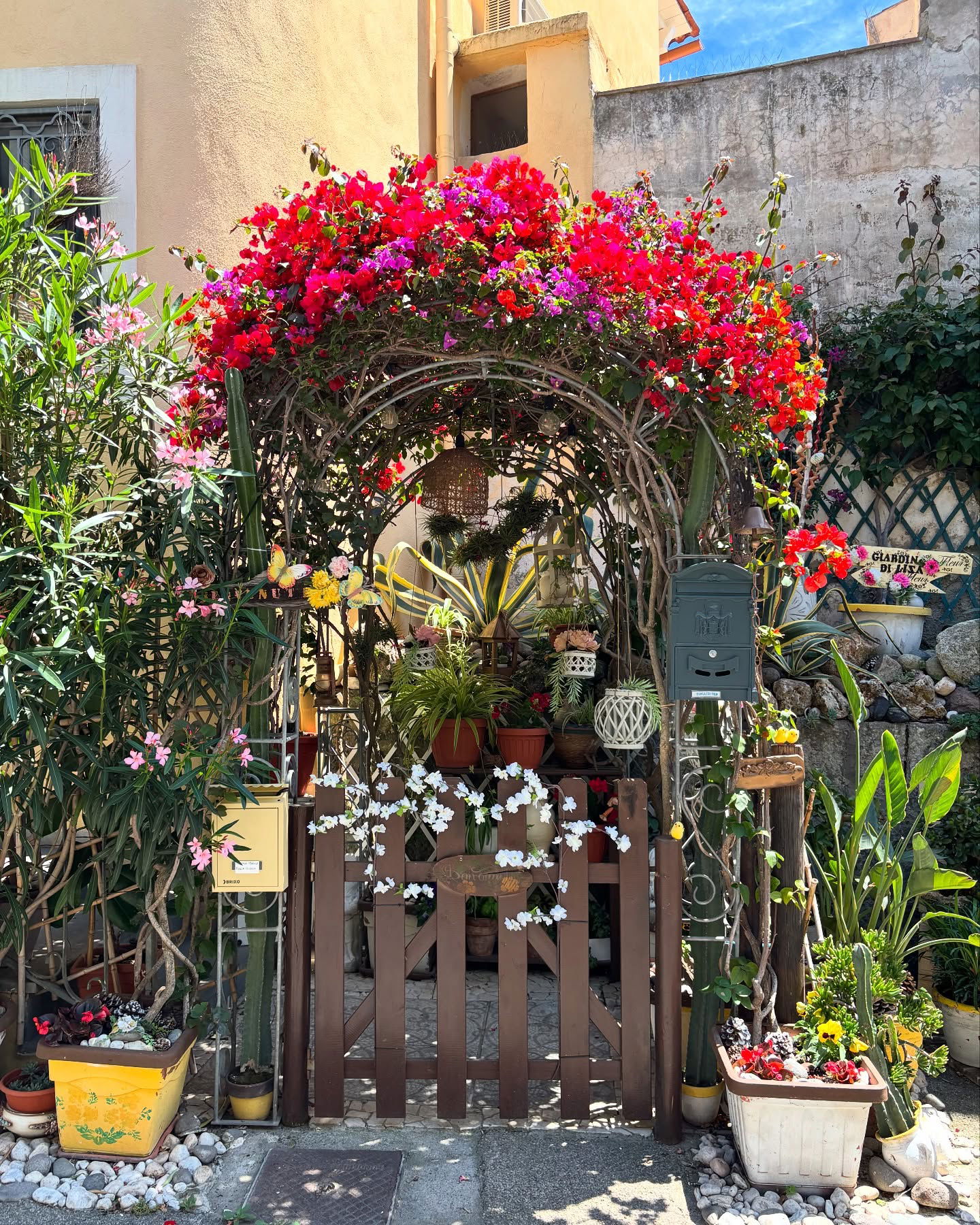 yam_adler instagram image archive image