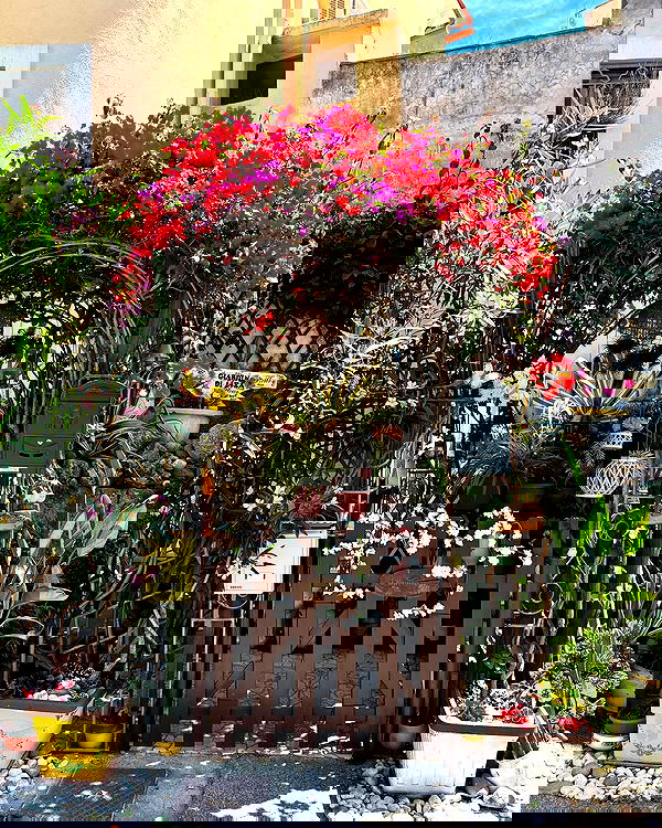 yam_adler image ~ Altpins