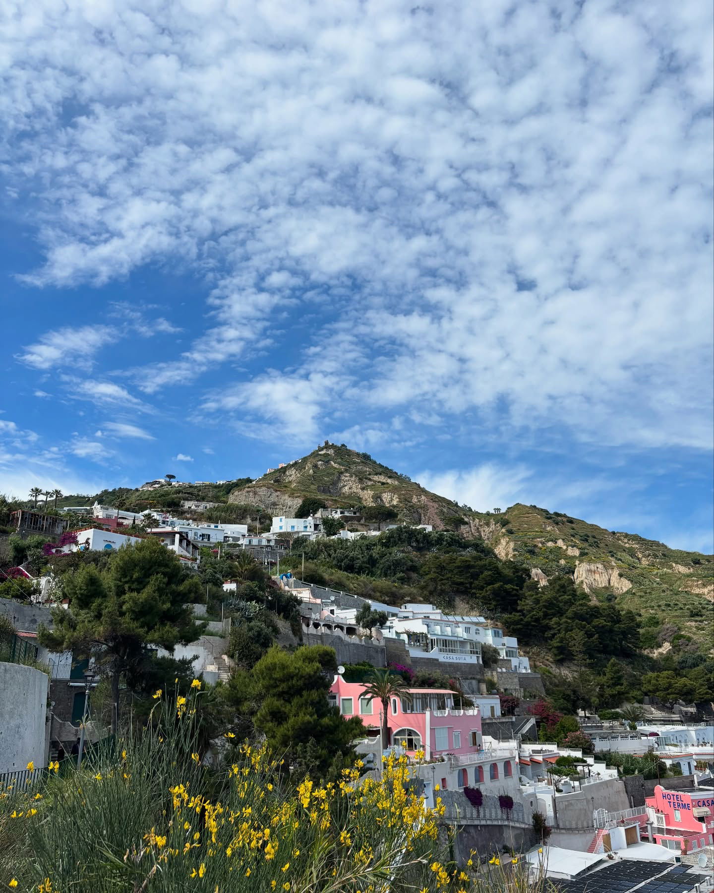 yam_adler instagram image archive image