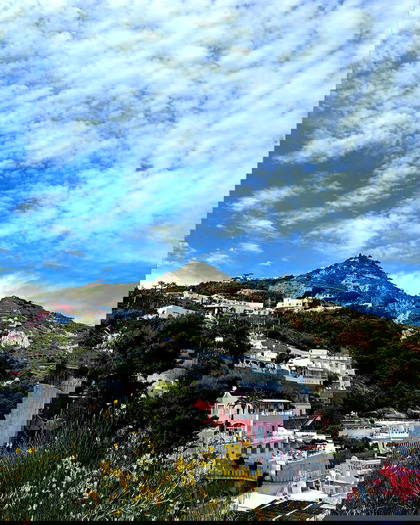 yam_adler image ~ Altpins