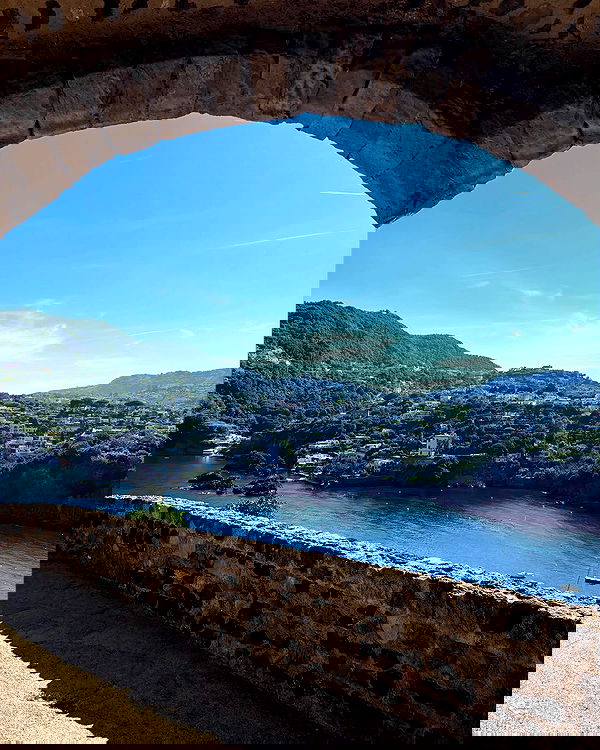 yam_adler image ~ Altpins