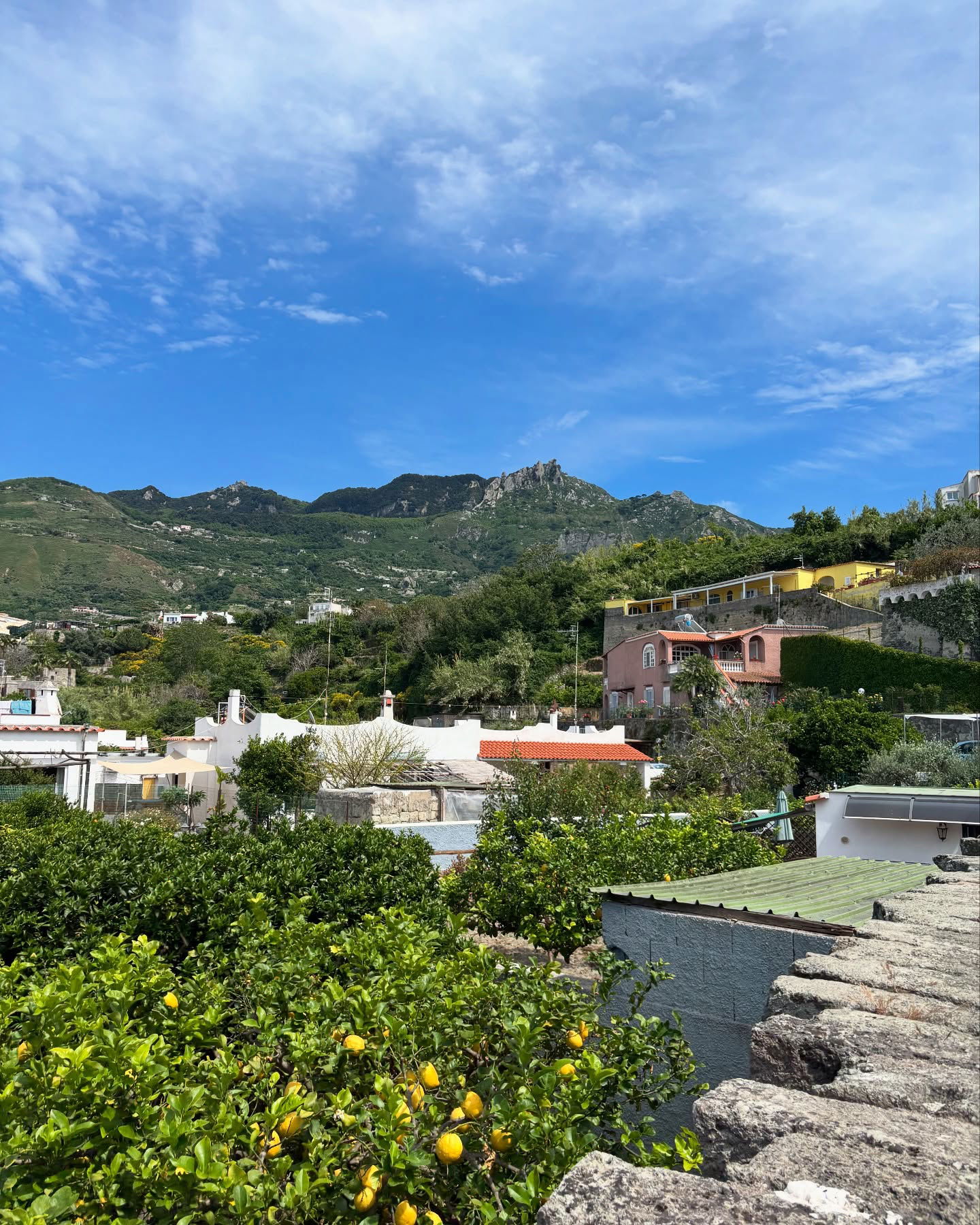 yam_adler instagram image archive image