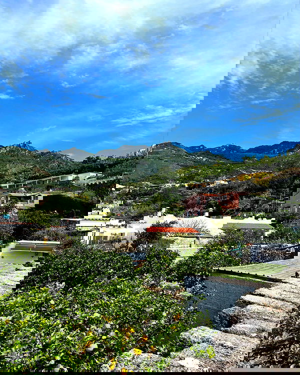 yam_adler image ~ Altpins