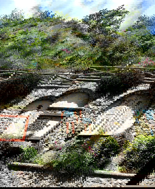 yam_adler image ~ Altpins