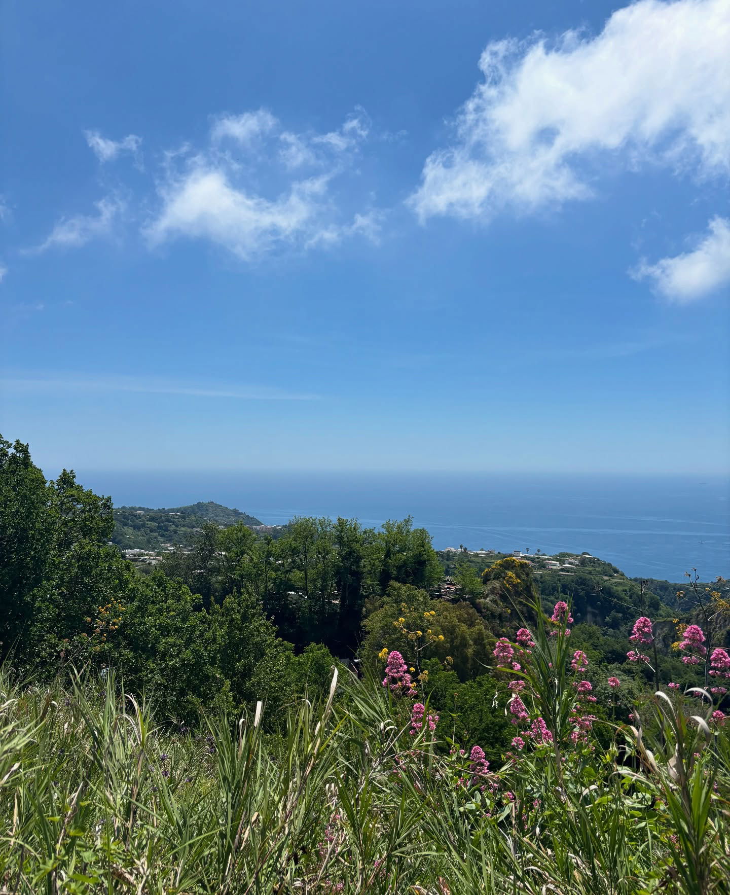 yam_adler instagram image archive image