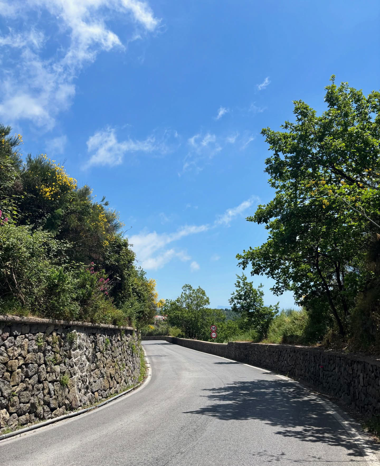 yam_adler instagram image archive image