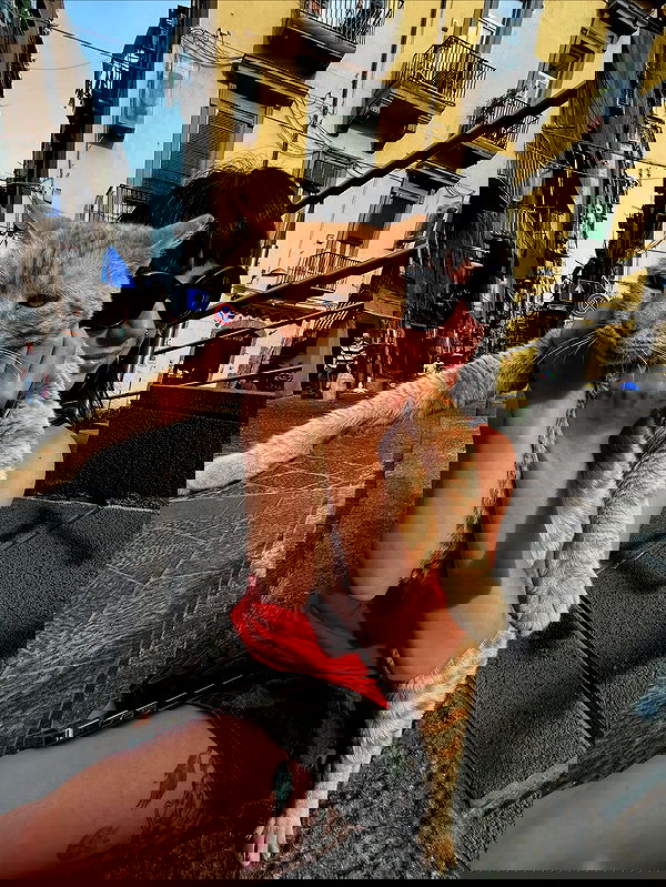 yam_adler image ~ Altpins