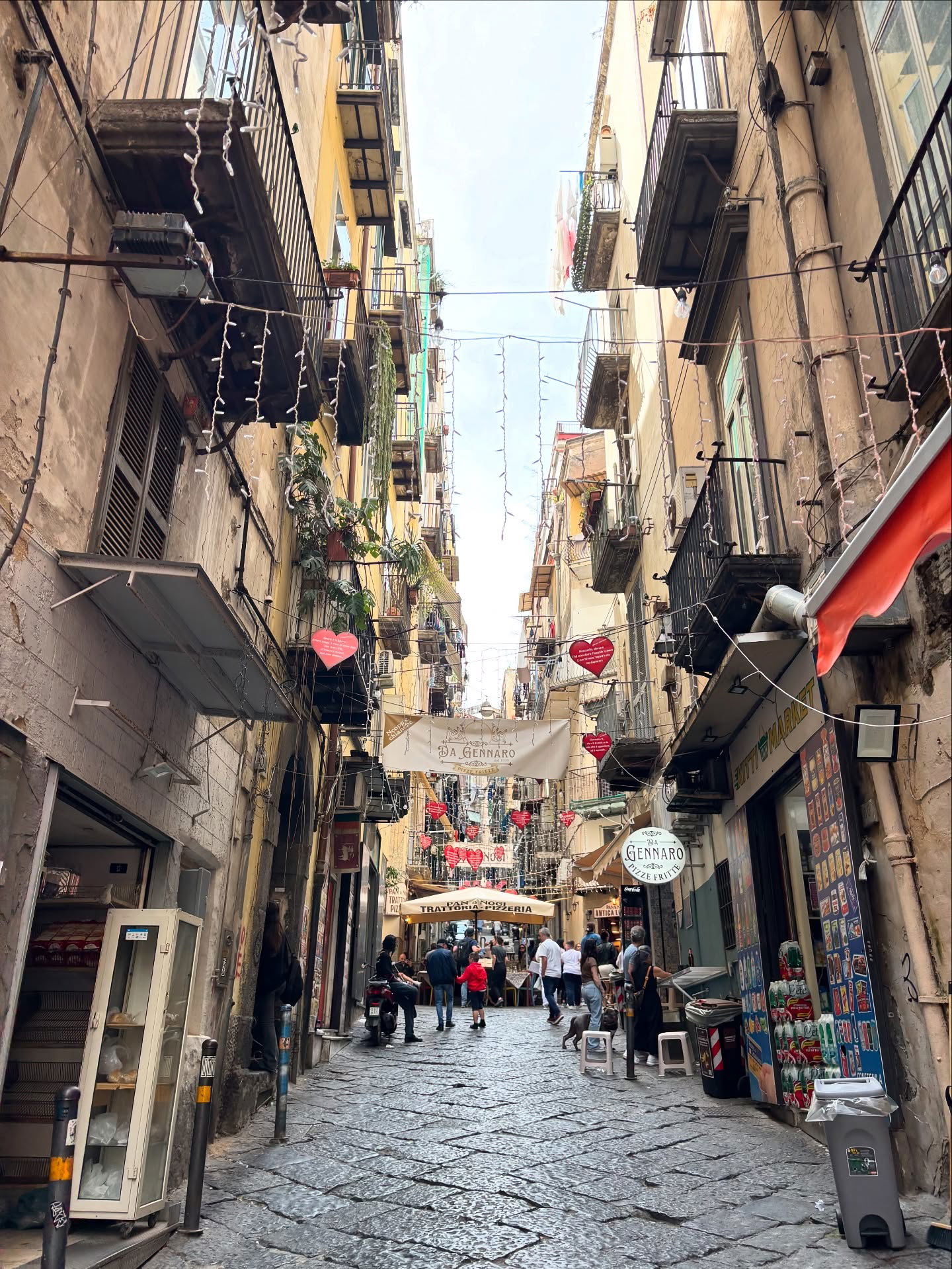 yam_adler instagram image archive image