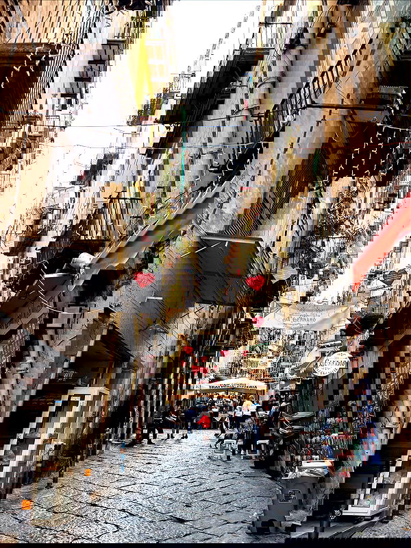 yam_adler image ~ Altpins