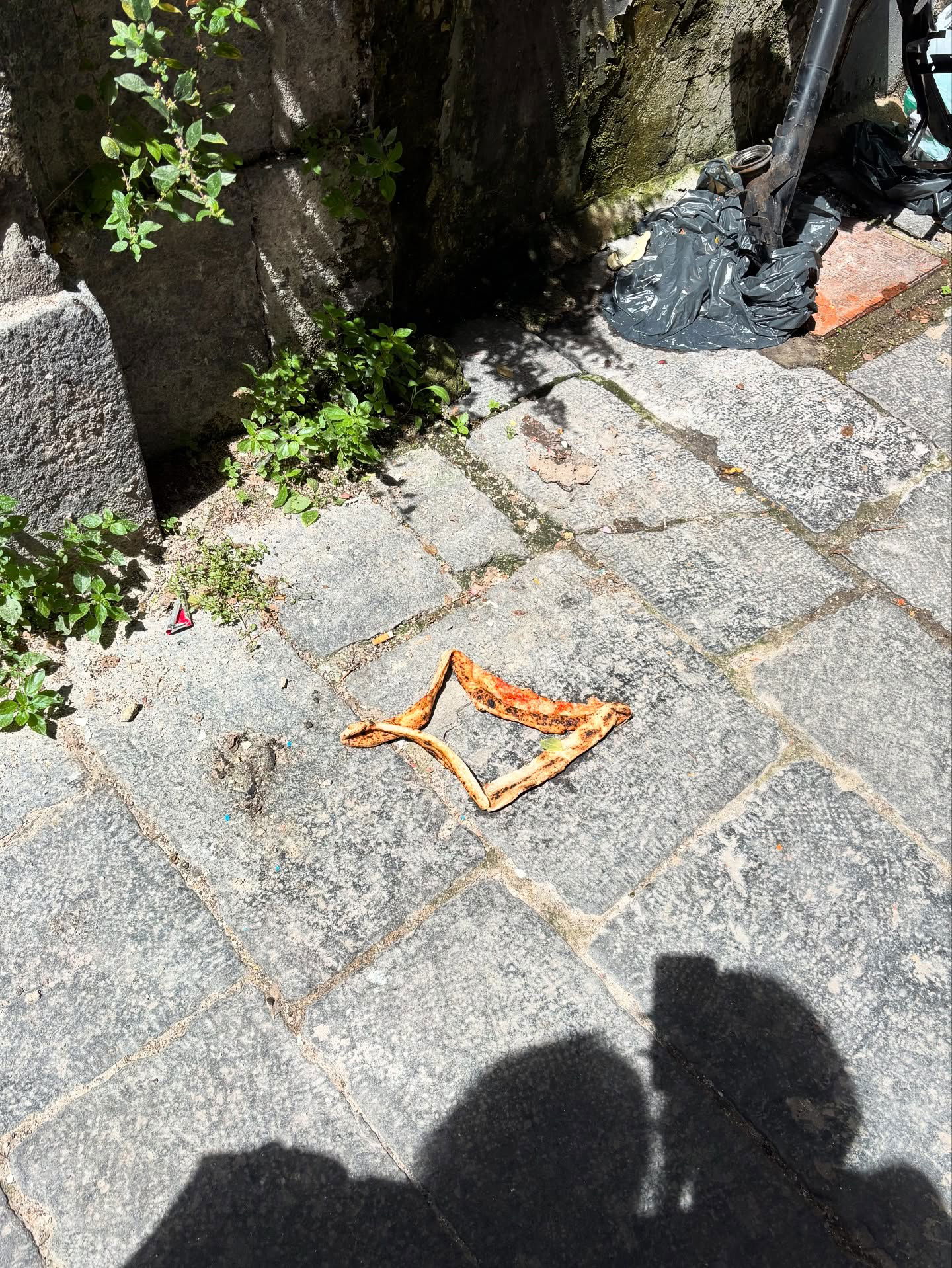 yam_adler instagram image archive image