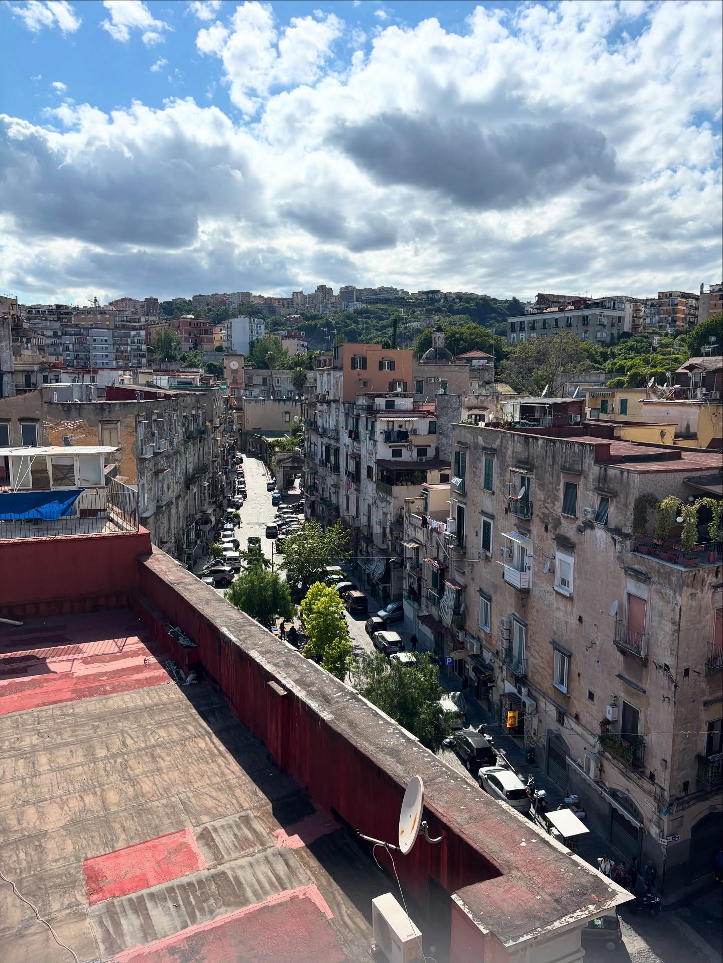 yam_adler instagram image archive image