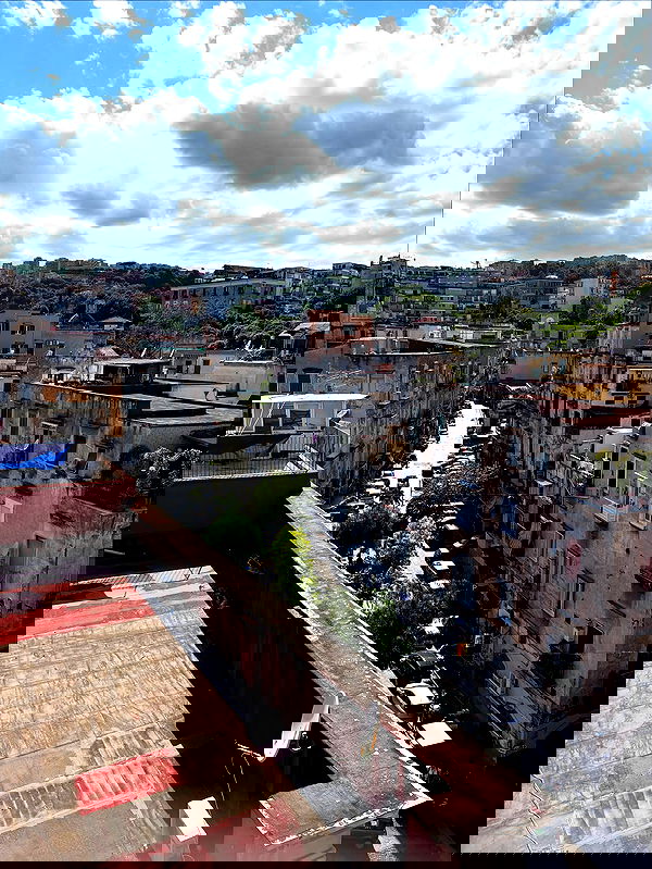 yam_adler image ~ Altpins