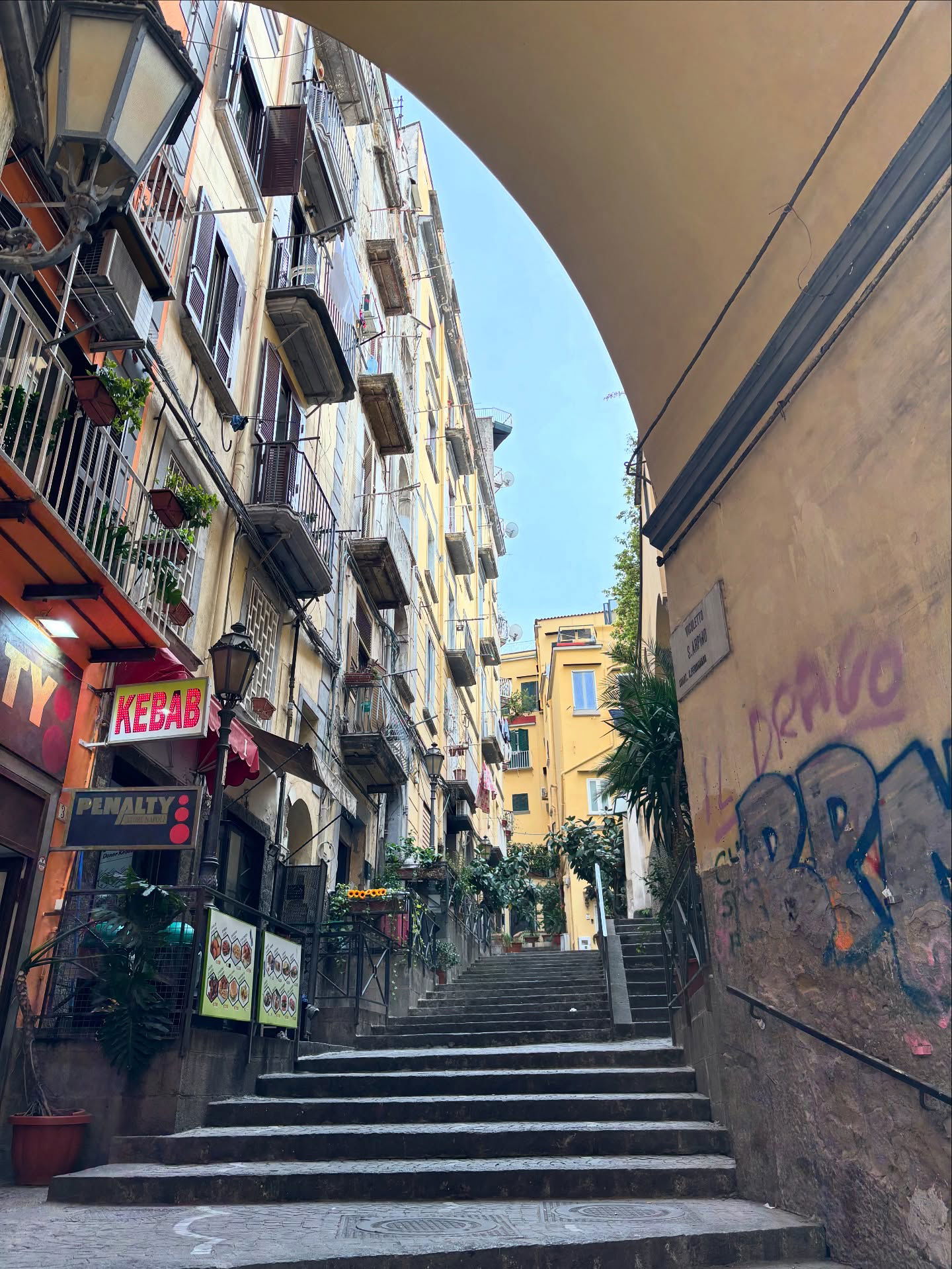 yam_adler instagram image archive image