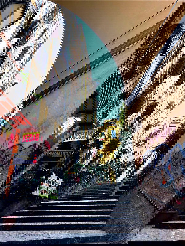 yam_adler image ~ Altpins