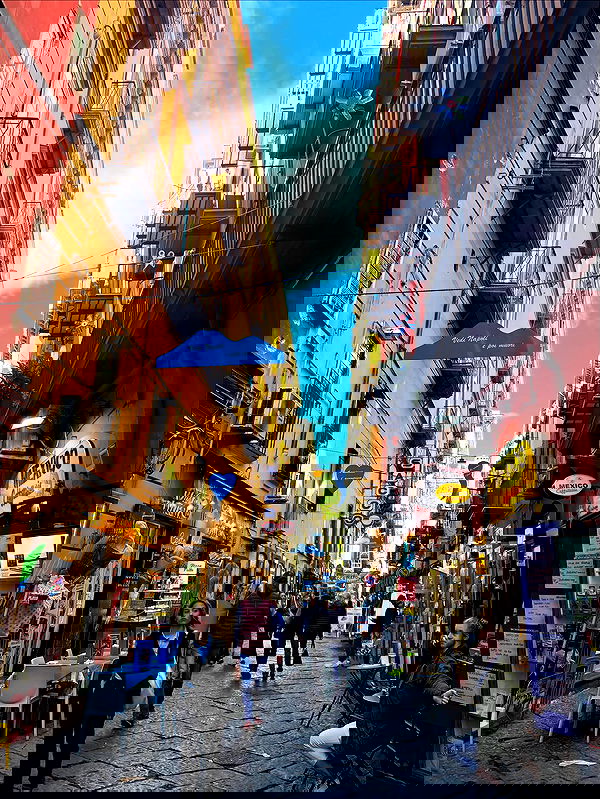 yam_adler image ~ Altpins