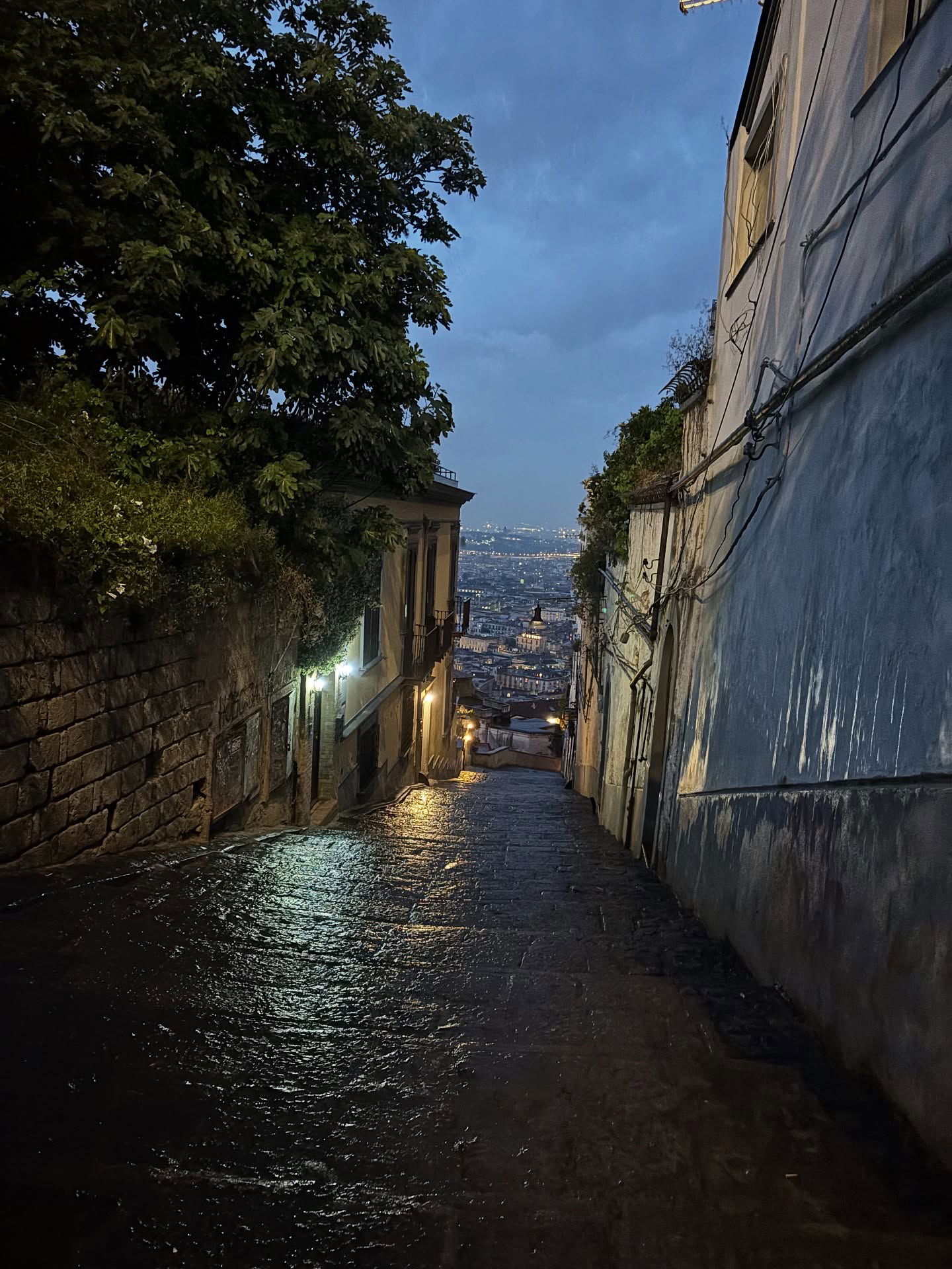 yam_adler instagram image archive image