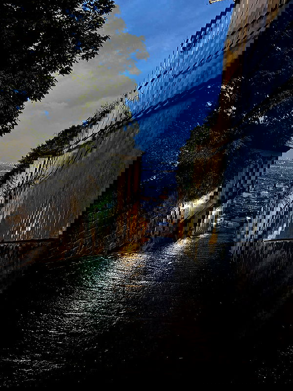 yam_adler image ~ Altpins