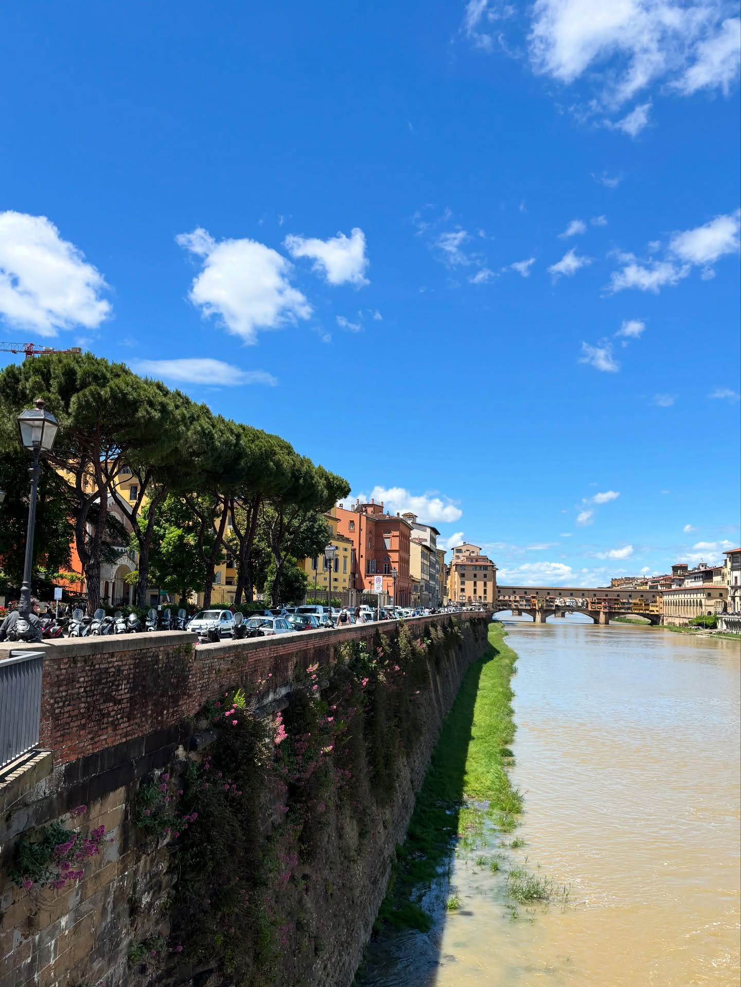 yam_adler instagram image archive image