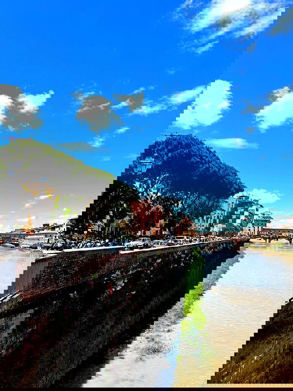 yam_adler image ~ Altpins