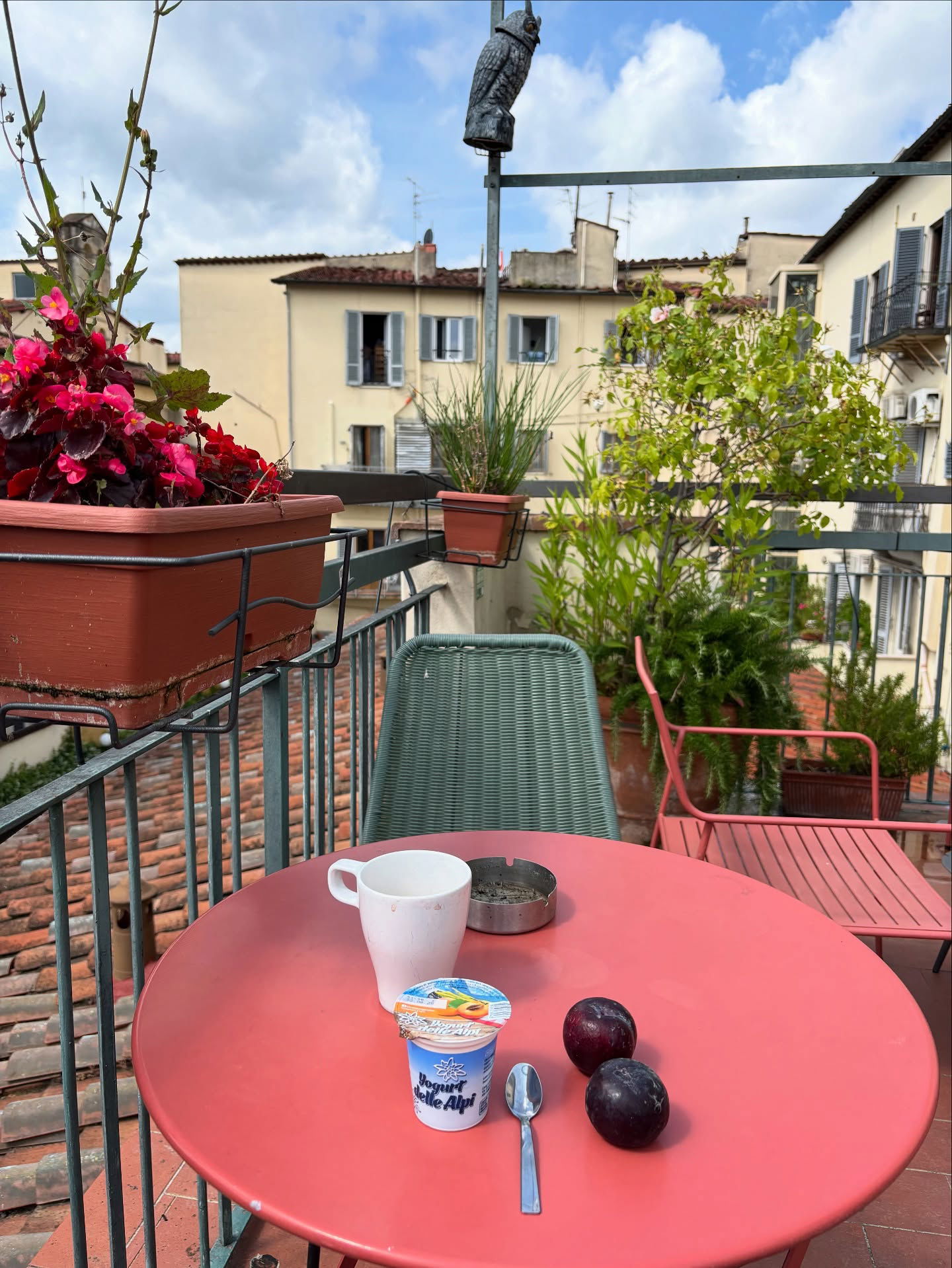 yam_adler instagram image archive image