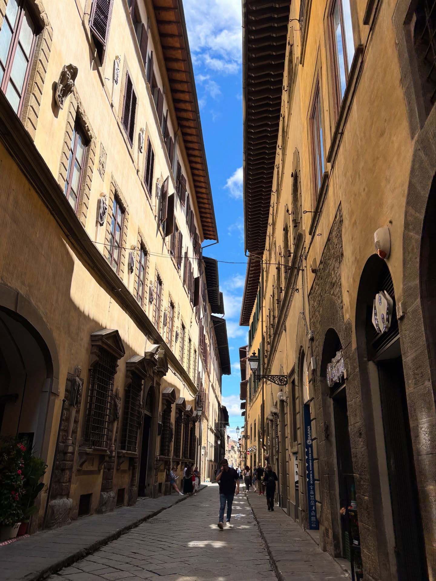 yam_adler instagram image archive image