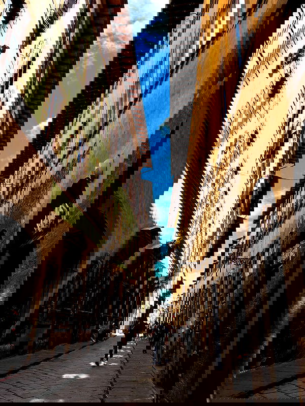 yam_adler image ~ Altpins