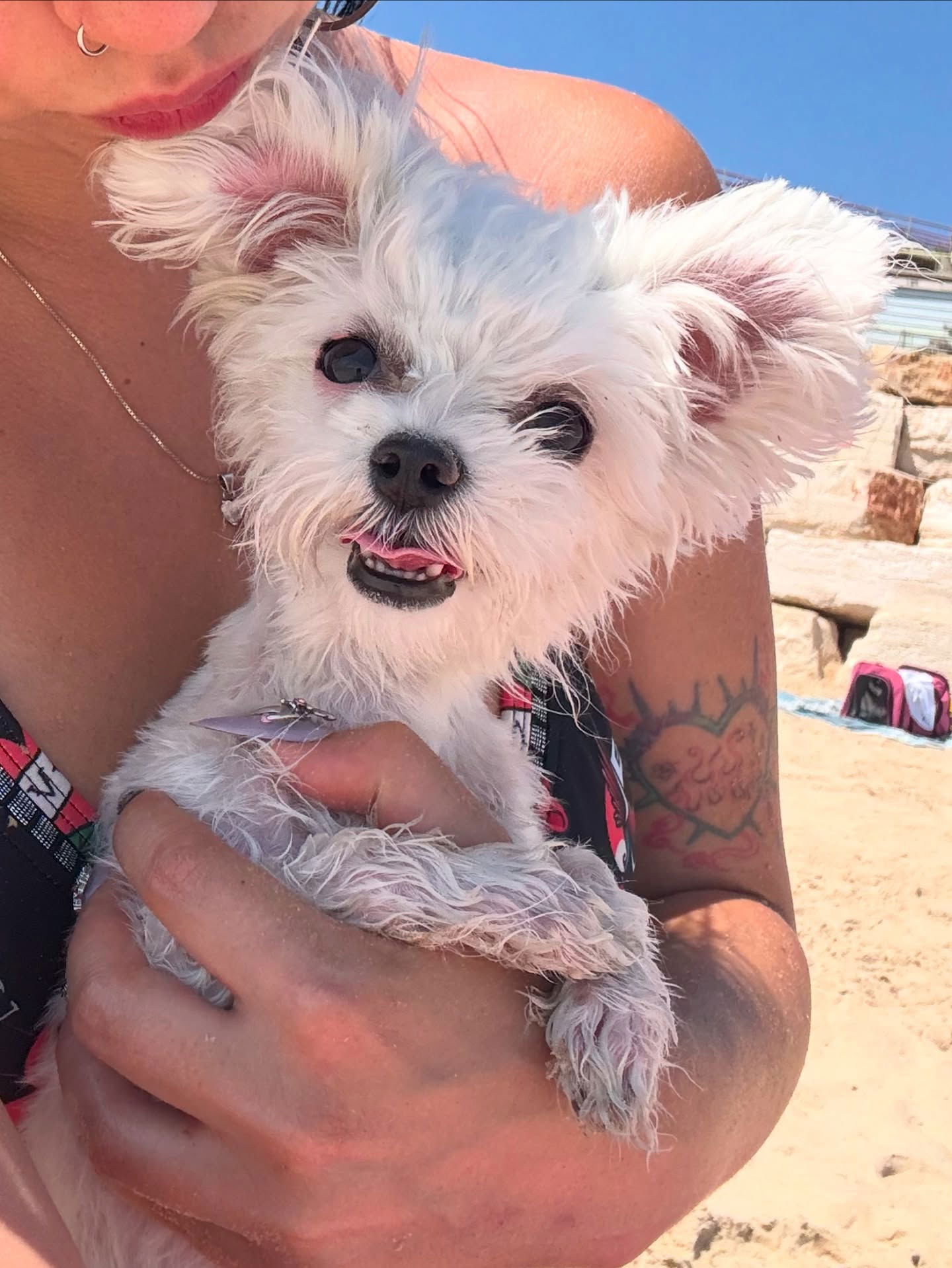 yam_adler instagram image archive image