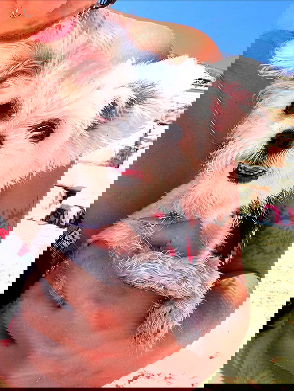 yam_adler image ~ Altpins