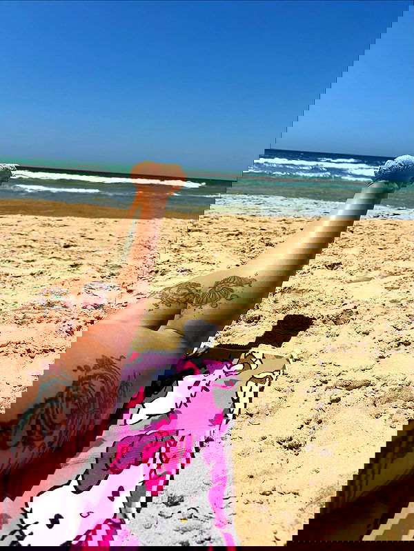 yam_adler image ~ Altpins