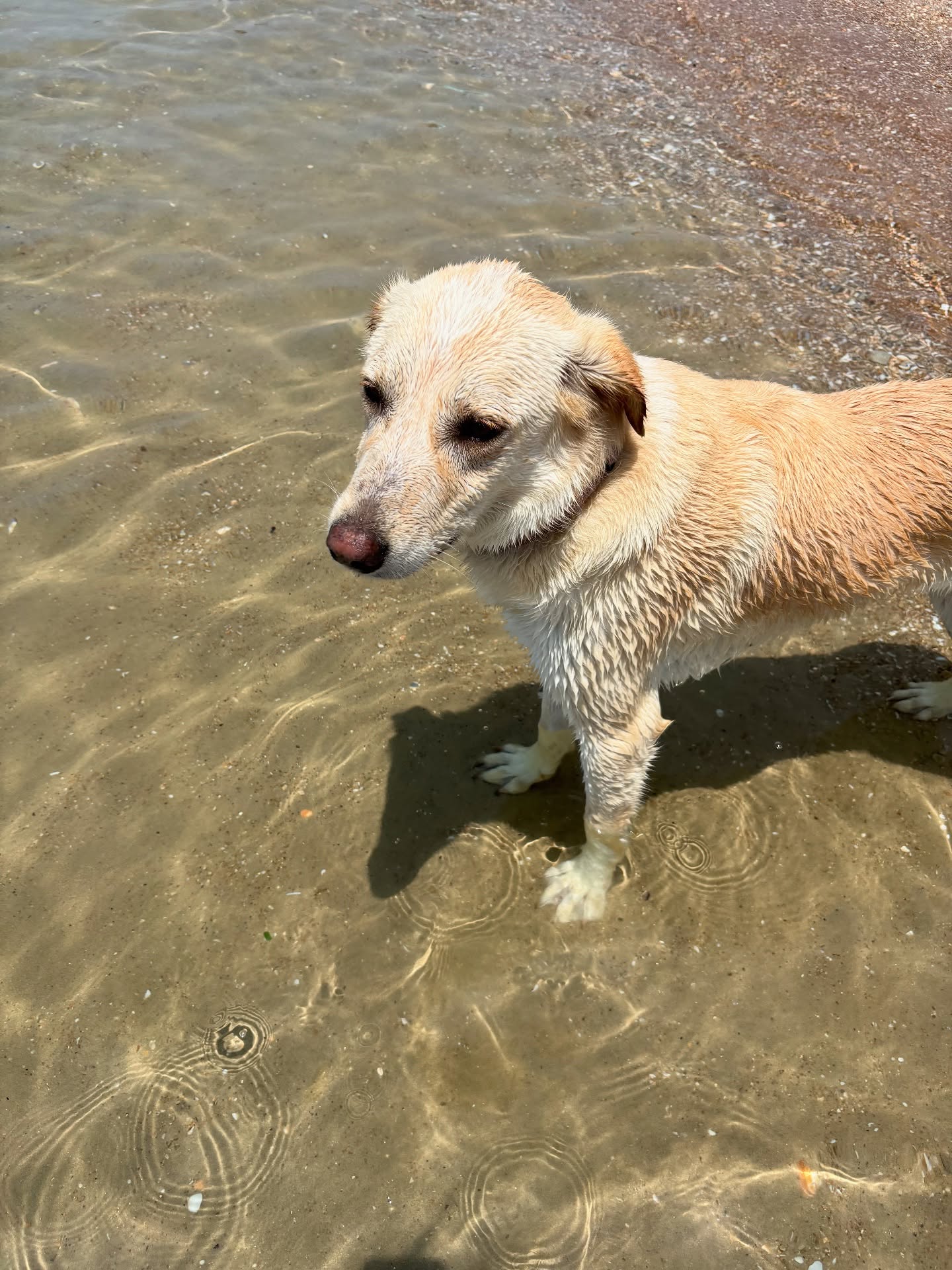 yam_adler instagram image archive image