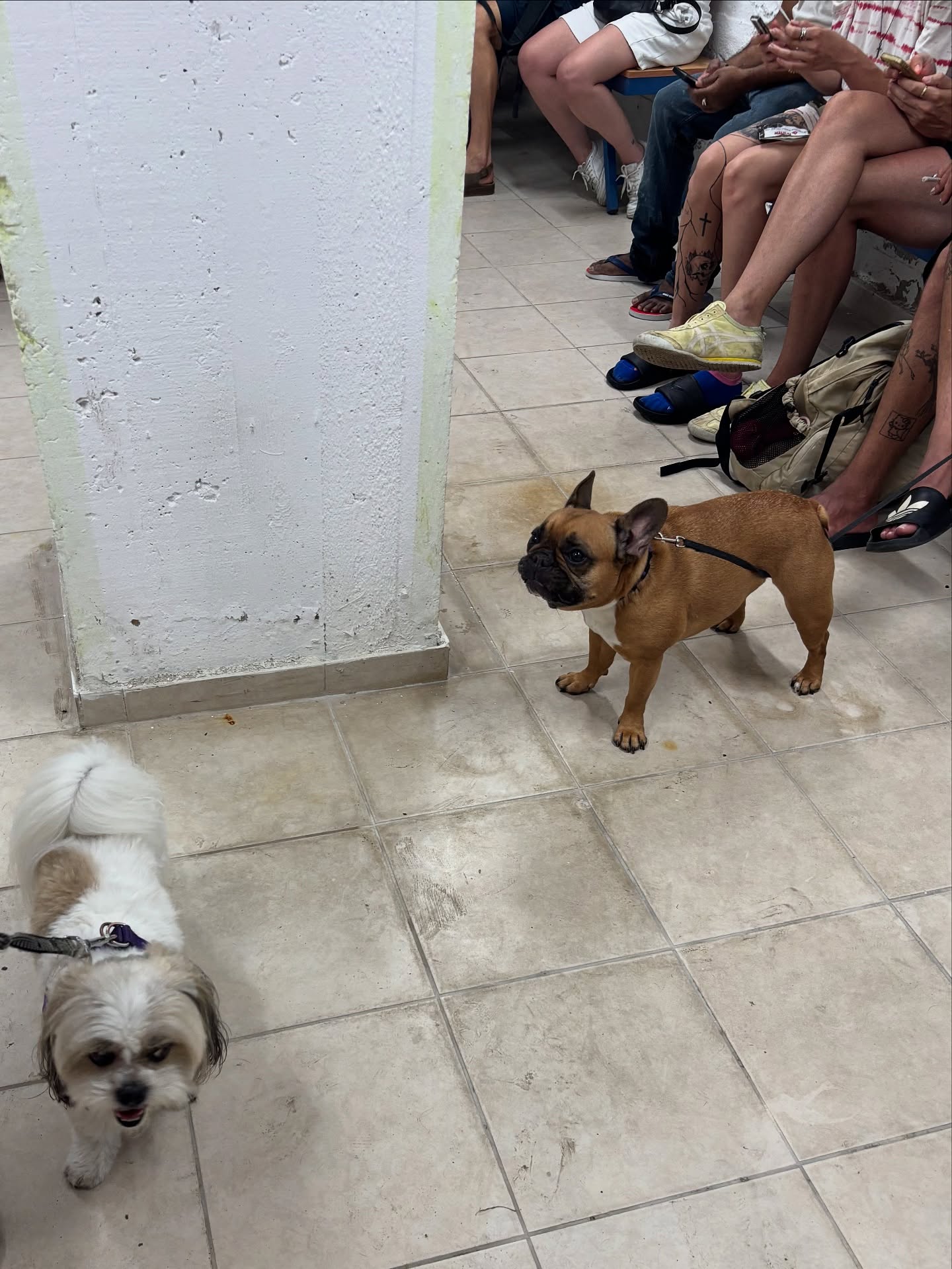 yam_adler instagram image archive image